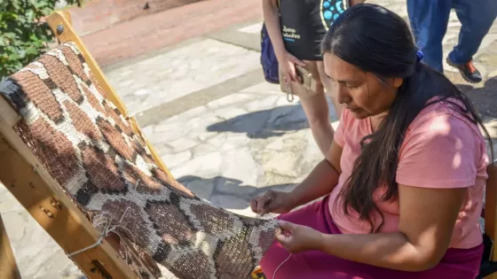 Semana del Artesano en Salta: agenda completa con actividades en toda la provincia