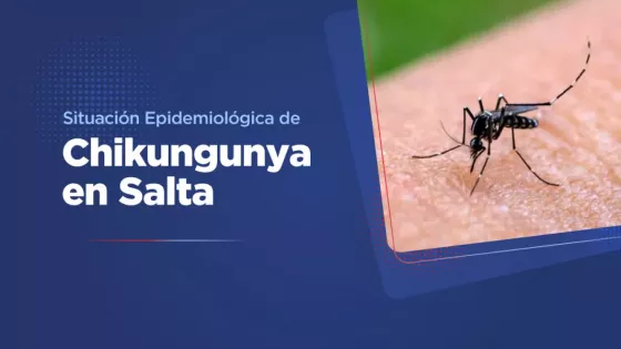 Situación Epidemiológica de Chikungunya en Salta