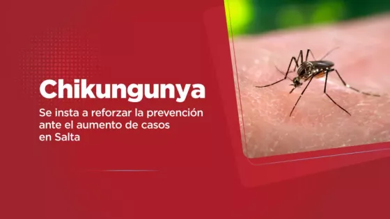 Chikungunya: Salud insta a reforzar la prevención ante un incremento del 43% de casos
