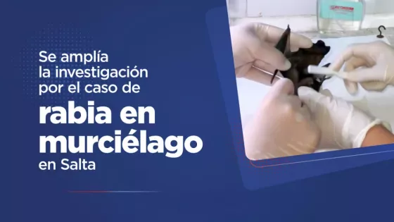 Ampliación de la investigación por caso de rabia en murciélago