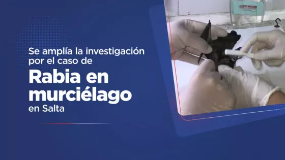 Ampliación de la investigación por caso de rabia en murciélago