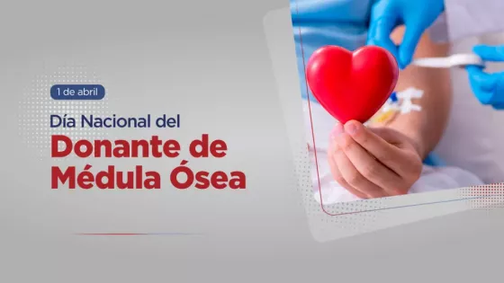 Salta alcanzó en el primer trimestre la misma cantidad de trasplantes de médula ósea que en todo el año 2025