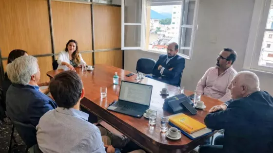 Jornada de trabajo sobre cartas orgánicas municipales