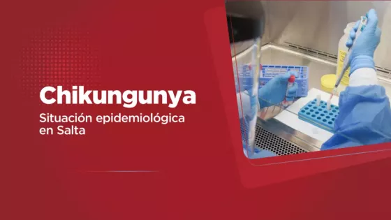 El Ministerio de Salud informa la situación epidemiológica de Chikungunya en la provincia
