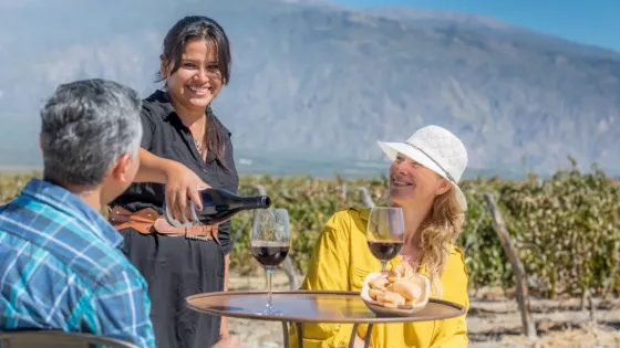 Salta se destaca en los Premios Winexplorers al Vino Argentino 2026