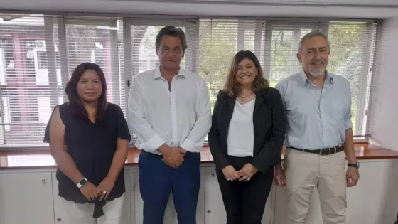 Reunión técnica sobre propuestas para el desarrollo minero en Salta