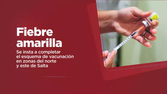 Salud insta a completar el esquema de vacunación contra la fiebre amarilla en el norte y este provincial
