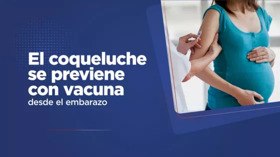 El coqueluche se puede prevenir con vacuna desde el embarazo