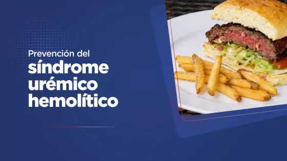 La buena cocción de carnes y el lavado adecuado de los vegetales previenen el síndrome urémico hemolítico
