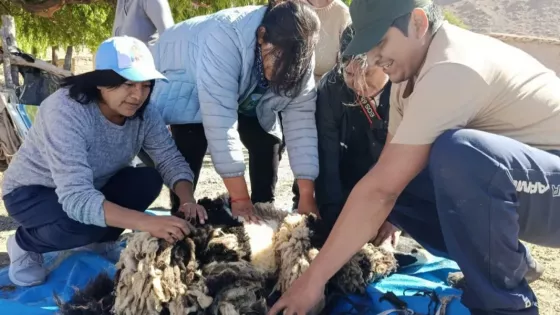 Ciclo Legado Ancestral: las capacitaciones gratuitas llegan a Cafayate con un Taller de Tintes Naturales
