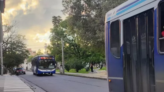 Servicio de colectivos para mañana jueves 30 y viernes 1 de mayo