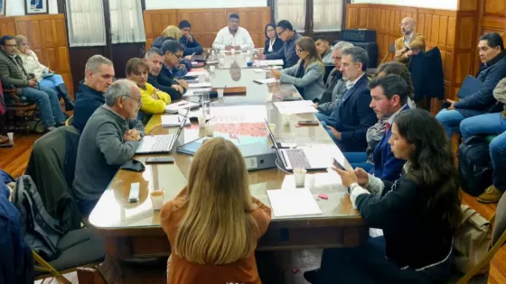 Salta establece un marco para el manejo sustentable de la fibra de vicuña con media sanción legislativa