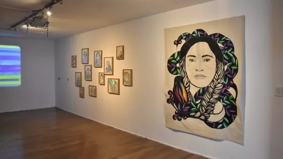 Hoy jueves se inaugura la muestra “Sueño de Agua” en el MAC Salta