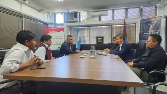 Prioridad para puneños en la contratación minera