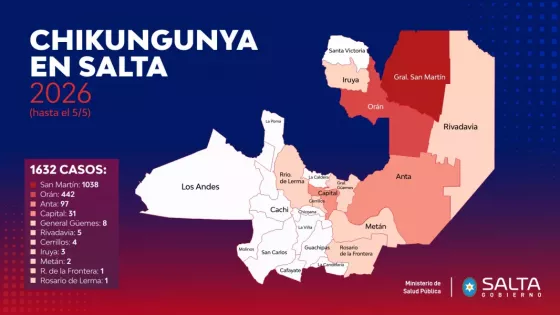 Chikungunya: Salud Pública confirma 1632 casos y refuerza la vigilancia epidemiológica