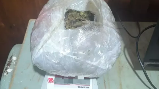 La Policía incautó más de 1900 dosis de marihuana en Cafayate