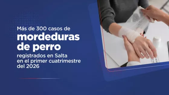 Más de 300 mordeduras de perro registradas en el primer cuatrimestre del año