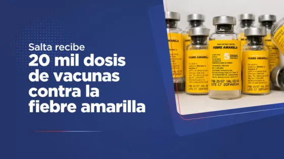 Salta recibe 20 mil dosis de vacunas contra la fiebre amarilla tras brote detectado en Bolivia