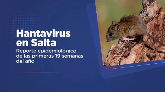 Hantavirus: Salud Pública emitió el reporte epidemiológico de las primeras 19 semanas del año