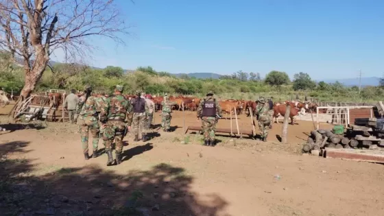 Golpe al abigeato: Se desarticularon dos bandas delictivas en el sur provincial