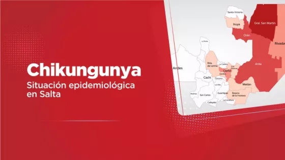 Informe Epidemiológico: Situación de Chikungunya en Salta