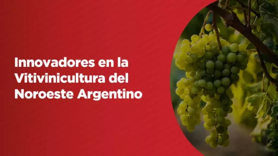 Se presenta hoy en Cafayate un estudio sobre la vitivinicultura en el NOA organizado por el BID y el Gobierno provincial