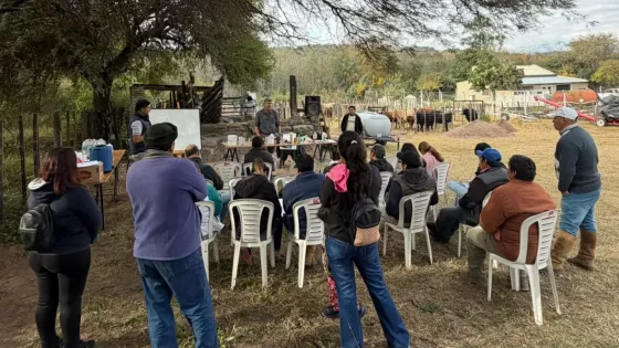 Capacitación a sus productores ganaderos en manejo de medicamentos y selección de reproductores