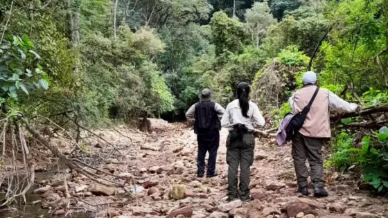 Se mantienen estables las poblaciones de guacamayos verdes en Salta