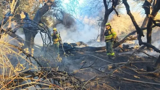 Brigadistas y Bomberos Voluntarios trabajan para contener un incendio forestal en Cafayate