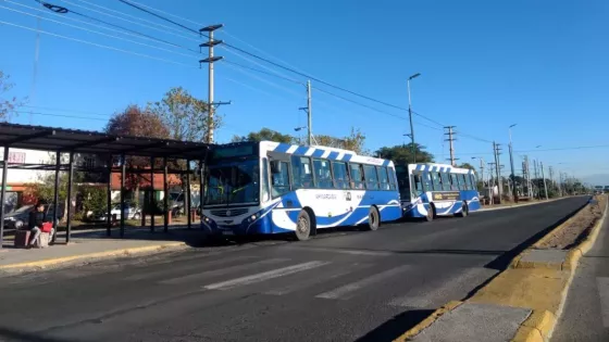 SAETA: servicio de colectivos en los feriados del 15 y 17 de junio