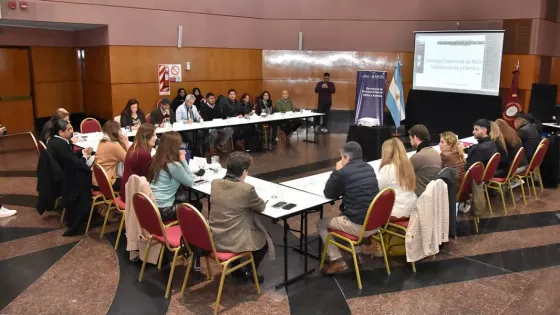 El Consejo Provincial de Niñez, Adolescencia y Familia realizó su primera sesión del año