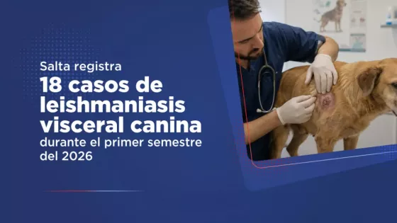 Se notificaron 18 casos de leishmaniasis visceral canina durante el primer semestre del año