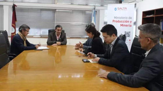 Nuevas etapas de expansión impulsan el crecimiento del litio salteño