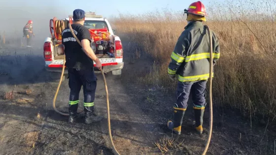 Equipos de emergencia trabajan intensamente para sofocar incendios