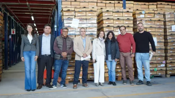 El Archivo Central realizó uno de los mayores expurgos documentales de los últimos años