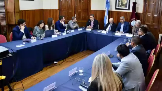 Analizan alternativas para el aprovechamiento sustentable de la fibra de vicuña en Salta