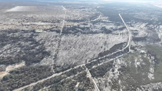 Defensa Civil registró 144 intervenciones por incendios forestales en Salta