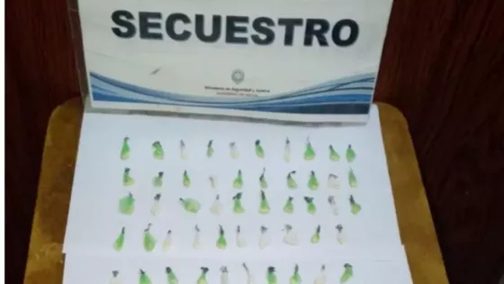 La Policía de Salta incautó más de 300 dosis de droga en patrullajes preventivos