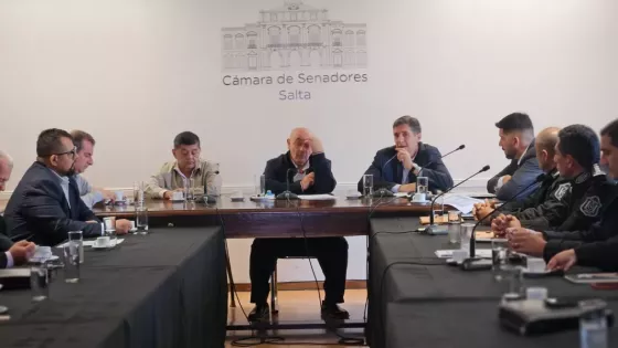 Senadores se interiorizaron sobre el Plan Estratégico e Integral de Seguridad