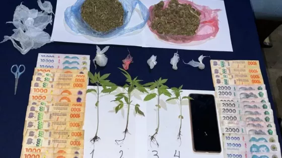 La Policía de Salta secuestró más de 2500 dosis de estupefacientes en múltiples operativos