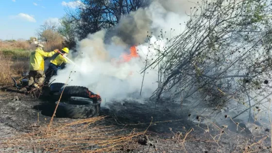 Controlaron un incendio de pastizales en la Ruta Provincial 24