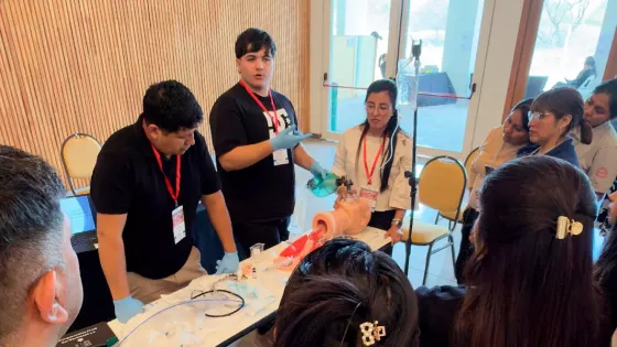 Más de 250 profesionales participaron del Segundo Encuentro Regional de Enfermería en Cafayate