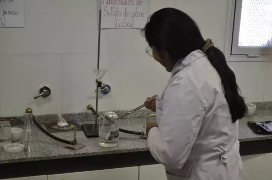 Inicia la instancia provincial de la Feria de Educación en Ciencias, Arte, Matemática y Tecnología