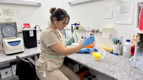Tres investigadoras del hospital Materno Infantil obtuvieron becas doctorales para fortalecer sus proyectos científicos