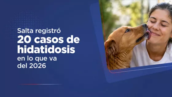 En Salta suman 20 los casos notificados de hidatidosis