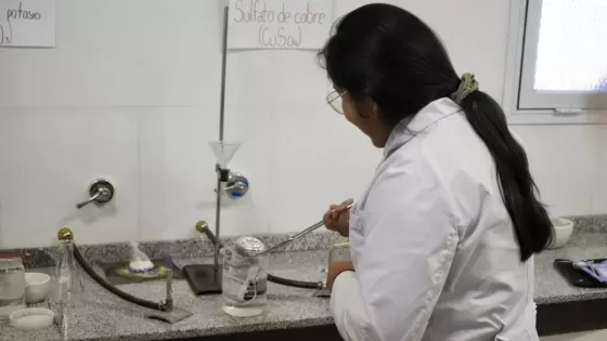 Salta seleccionó los proyectos que la representarán en la Feria Nacional de Ciencias 2026