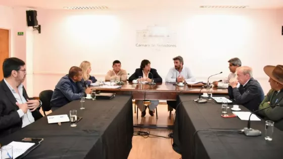 Reunión informativa entre Recursos Hídricos y senadores provinciales