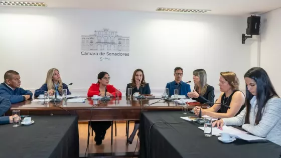 Analizaron la prórroga de la emergencia social por violencia de género