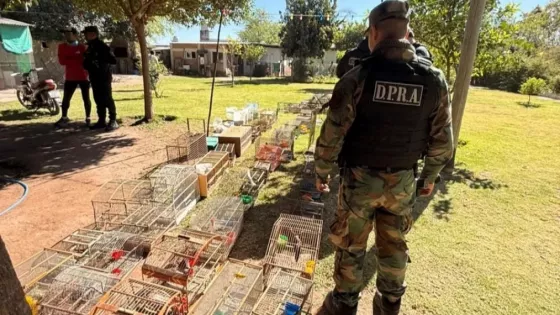 La Policía secuestró 24 aves silvestres mantenidas en cautiverio en San Agustín