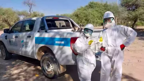 La vigilancia epidemiológica territorial fortalece la respuesta sanitaria en la provincia